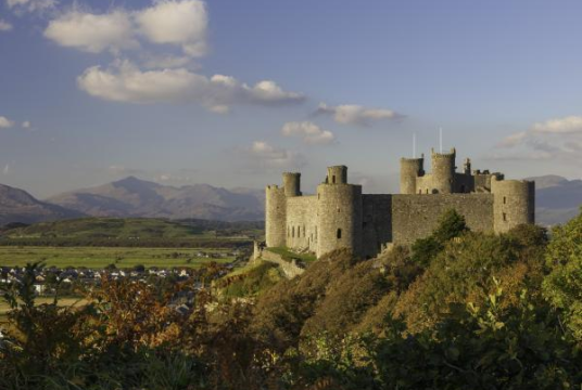 Eric Ellman is running the WINTER RUN TO THE CASTLE by The AHOY Centre cover photo
