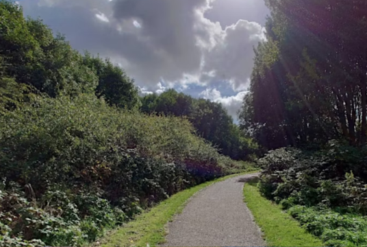 Bike ride and picnic and games: Family-friendly, river Lea to Wild Marsh by The Hanoon Foundation cover photo