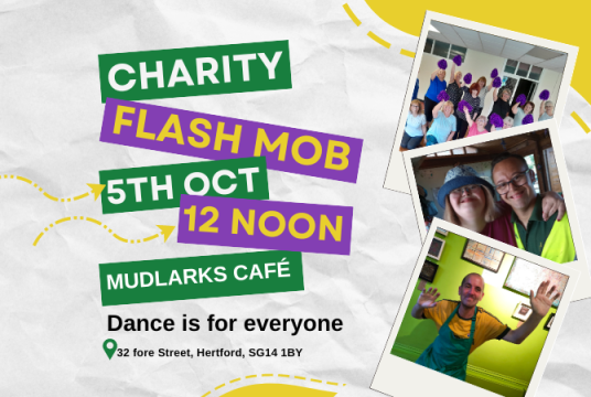 Mudlarks' Dance Pop-Up - Flash Mob by The Mudlarks Community cover photo