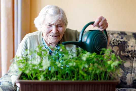 Link to Nature by The Link Visiting Scheme cover photo