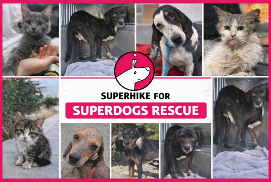 Gail's SuperHike for SuperDogs Rescue by Gail Adair cover photo