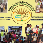 Seven Spikes Relief Foundation logo