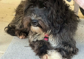 Fundraiser cover image