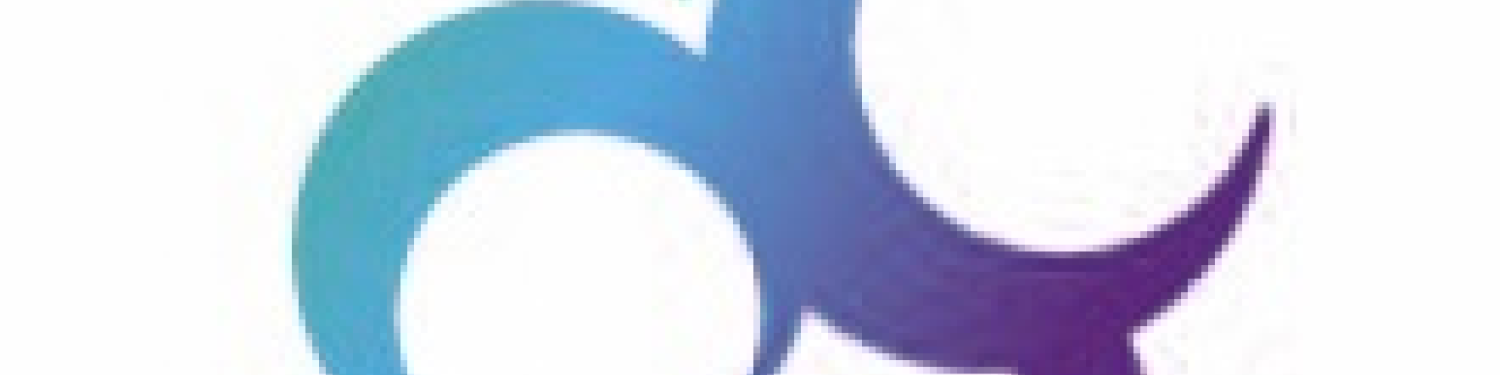 The Vine Church Bristol logo