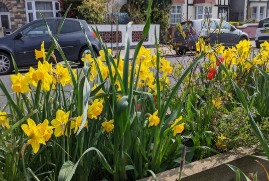 Healthy Streets Scorecard by CPRE London cover photo