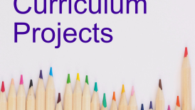 Curriculum Projects