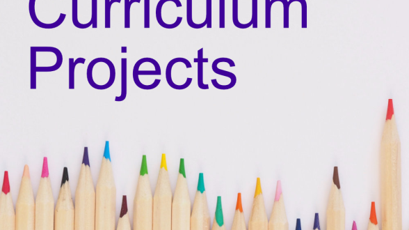 Curriculum Projects