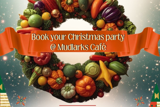 Christmas Party Night by The Mudlarks Community cover photo