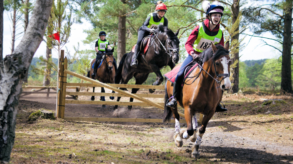 Frensham Sponsored Horse Ride