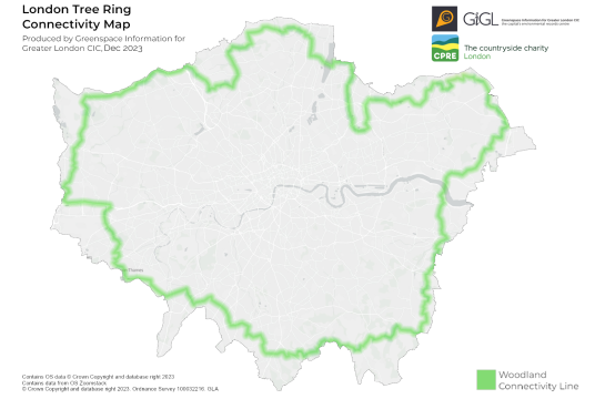 Tree Ring - supporting London's countryside - Phase 1 by CPRE London cover photo