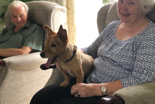 Help Us Re-home Older Animals by Charity Buddy cover photo