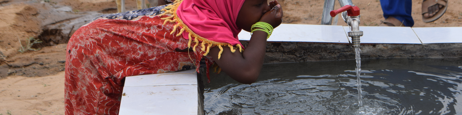 African Relief Fund logo