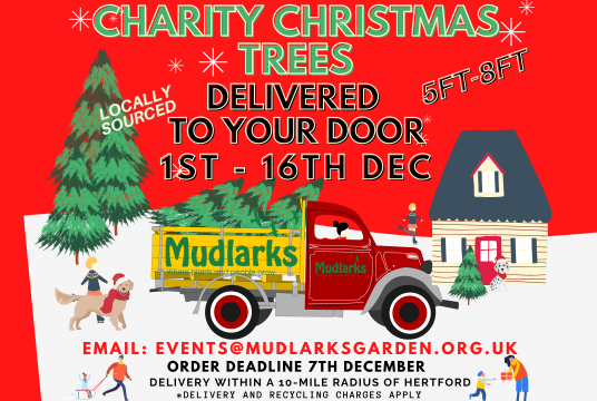 6ft-7ft Charity Christmas Tree by The Mudlarks Community cover photo