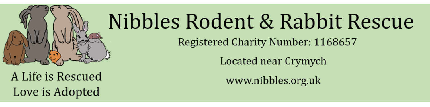 Nibbles Rodent & Rabbit Rescue logo