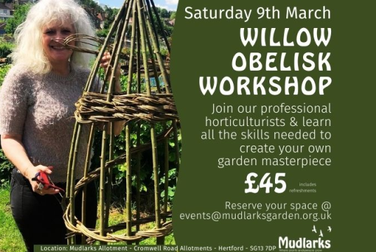 Willow Workshop 2025 by The Mudlarks Community cover photo