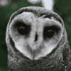 campaign-user-photo