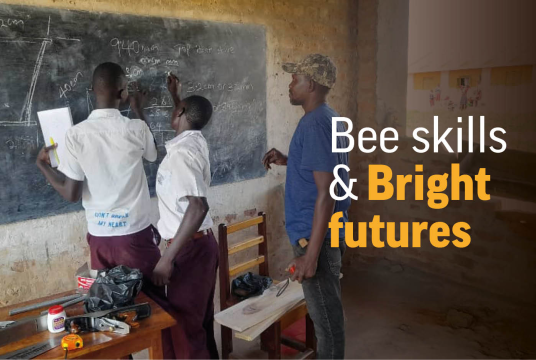 Bee Skills & Bright Futures by Bees for Development cover photo