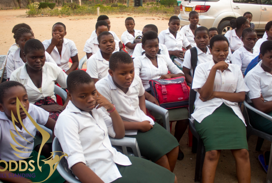 Malawi Secondary School Building Project by AOS UK cover photo