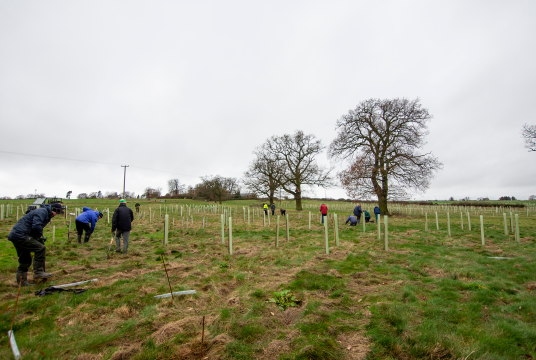 All charitable work by The Heart of England Forest cover photo