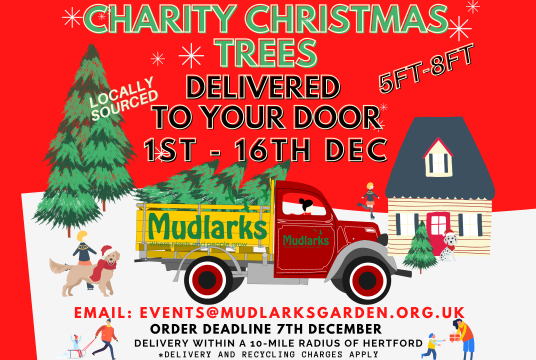 5ft-6ft Charity Christmas Trees by The Mudlarks Community cover photo