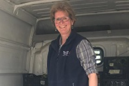 Sponsor Birgit Federle for The Big Cambridge-Calais Sleepout 2020 by CamCRAG cover photo