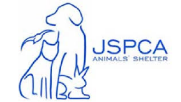 Trust team raffle for JSPCA