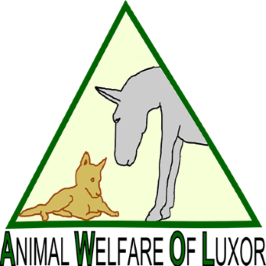 Animal Welfare of Luxor logo